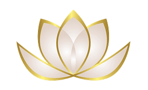 why zen web media