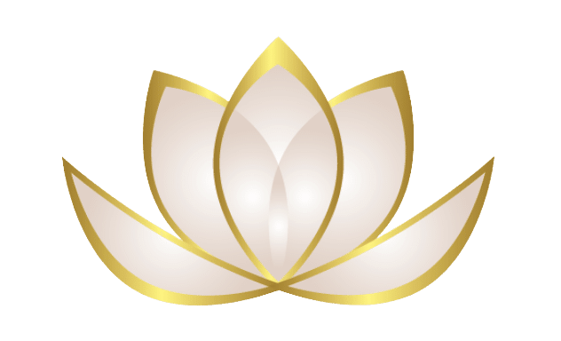 why zen web media